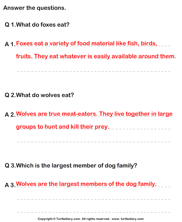 Dog Family - Answer the Questions Answer