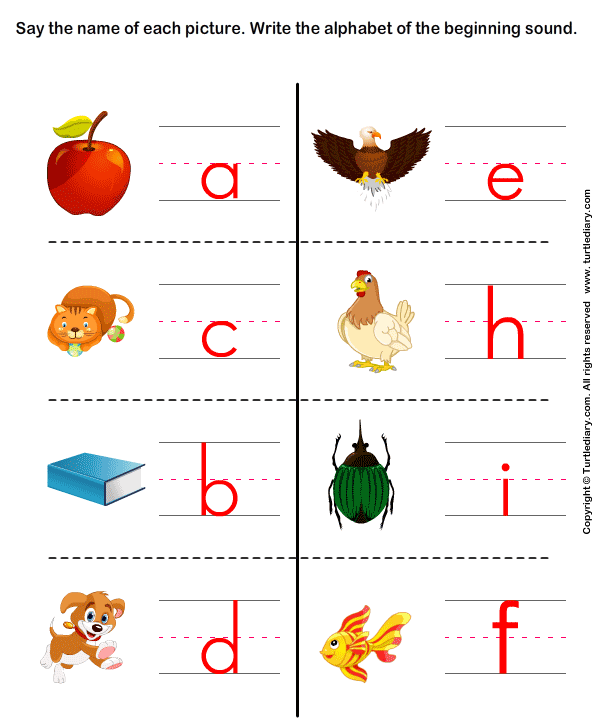 Write the Letter of Beginning Sound Answer