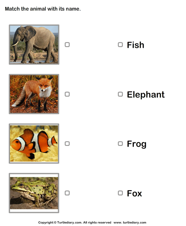 Animals Pictures and Names | Turtle Diary Worksheet