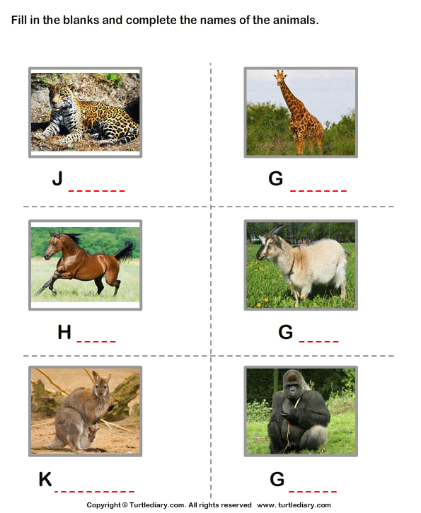 Write the Names of the Animals