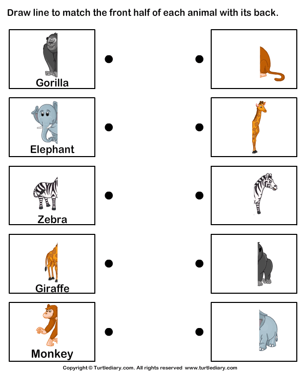 Body Parts of Animals Worksheets | Turtle Diary Worksheet