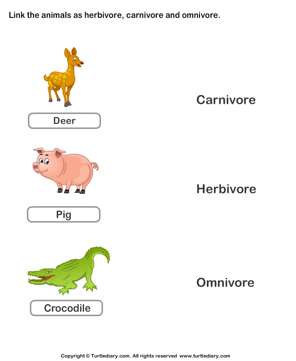 Carnivorous Herbivorous and Omnivorous Animals | Turtle Diary Worksheet