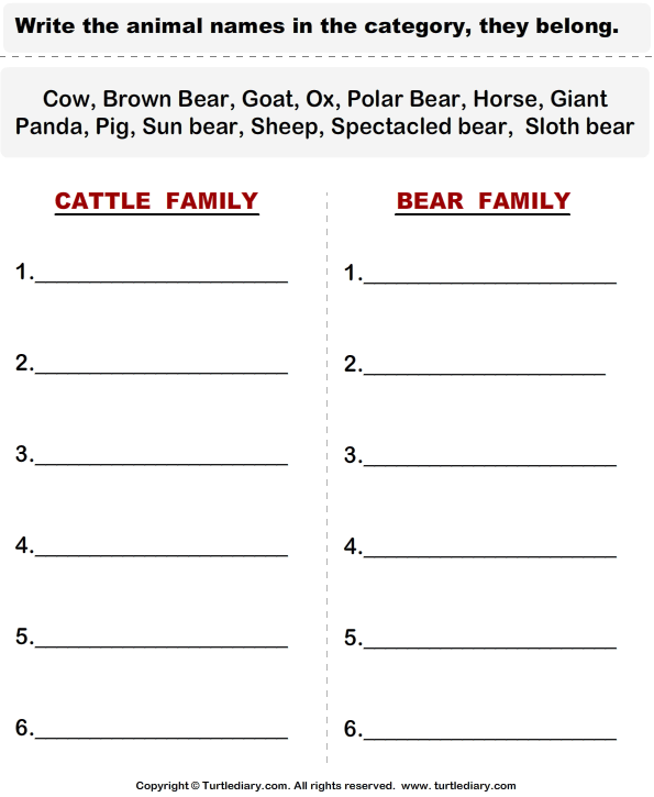 Cattle - Categorize the Animals