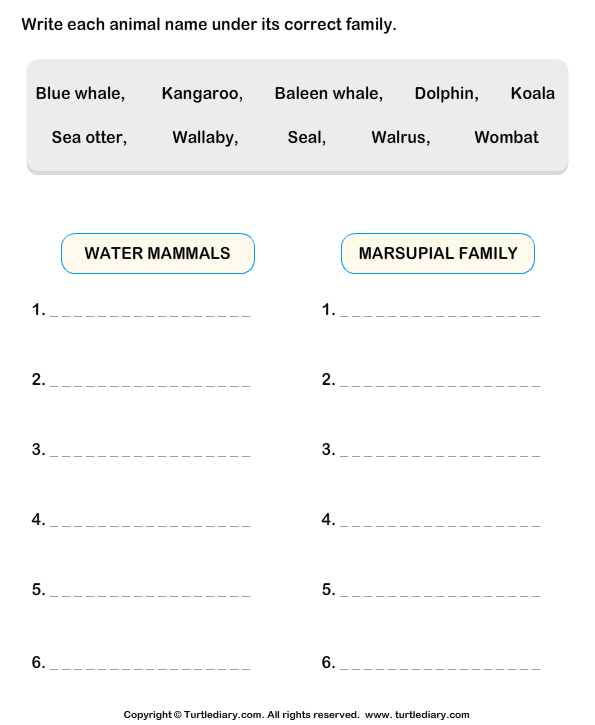 Classifying Animals Turtle Diary Worksheet Classifying Animals Turtle Diary Worksheet