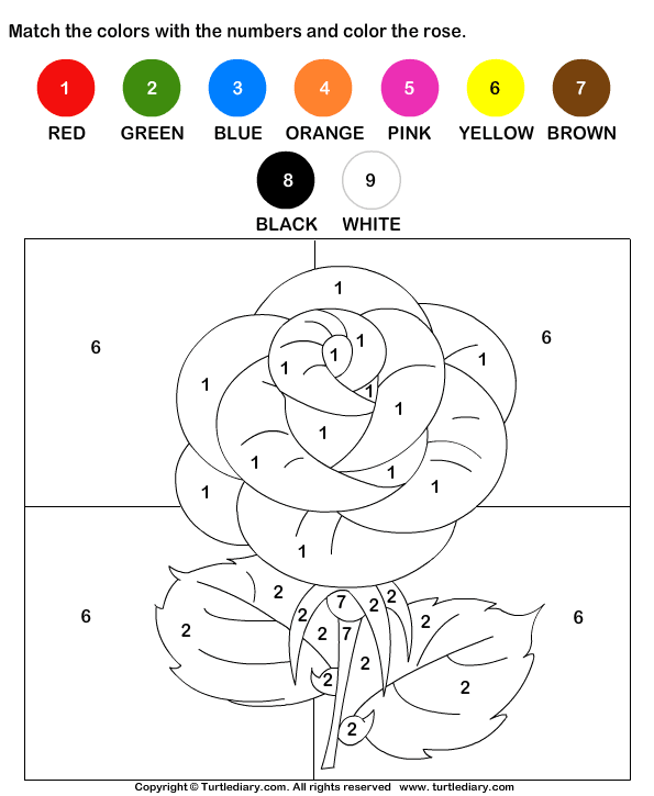 Color the Rose by Numbers | Turtle Diary Worksheet
