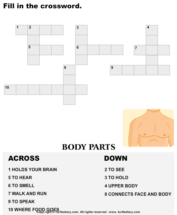 Complete the Crossword Body Parts Turtle Diary Worksheet