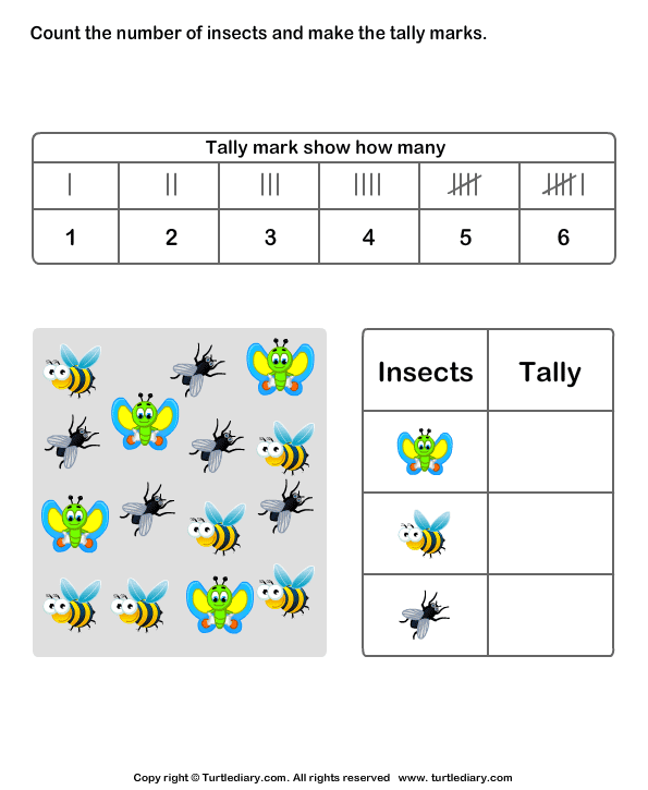 Record Data with Tally Charts