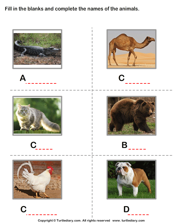 Different Animals Names | Turtle Diary Worksheet