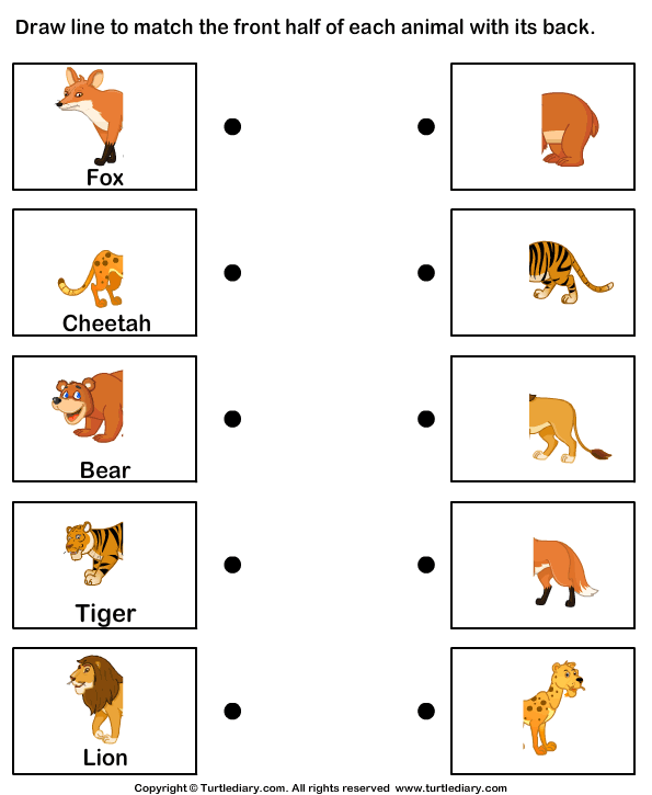 Different Body Parts Of Animals Turtle Diary Worksheet