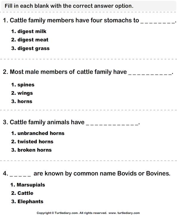 Cattle Family: Write the Correct Answer