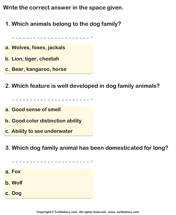 Dog Family: Write the Correct Answer