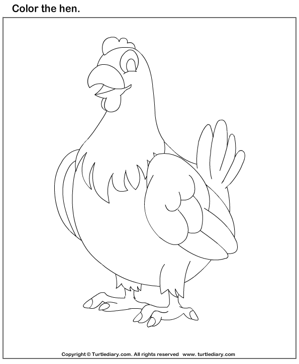 Color the Animals