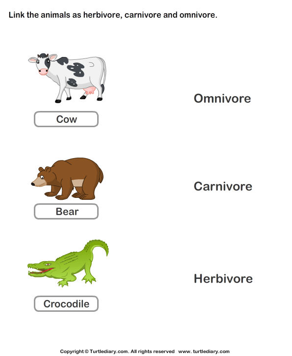 Herbivores Carnivores and Omnivores Animals | Turtle Diary Worksheet