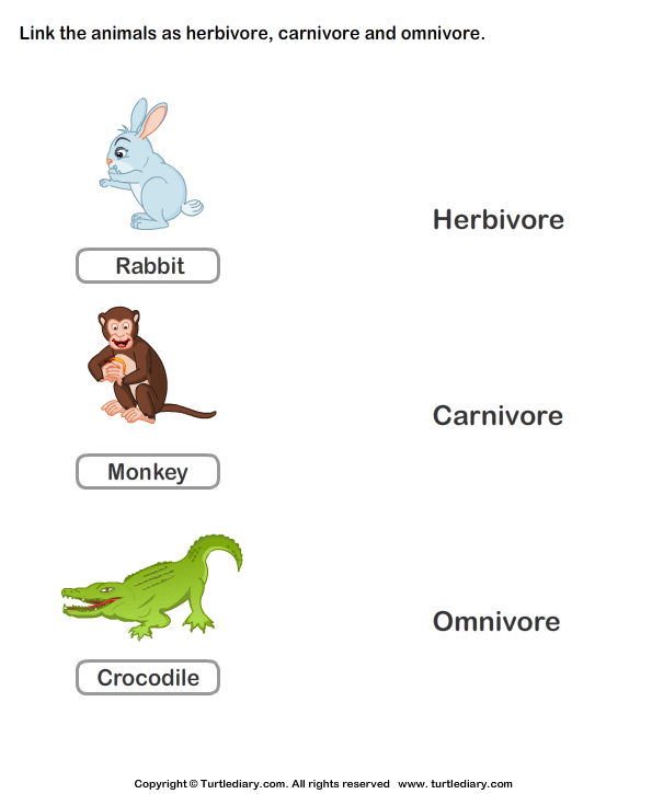 Herbivores Carnivores and Omnivores Worksheets for Kids | Turtle Diary  Worksheet