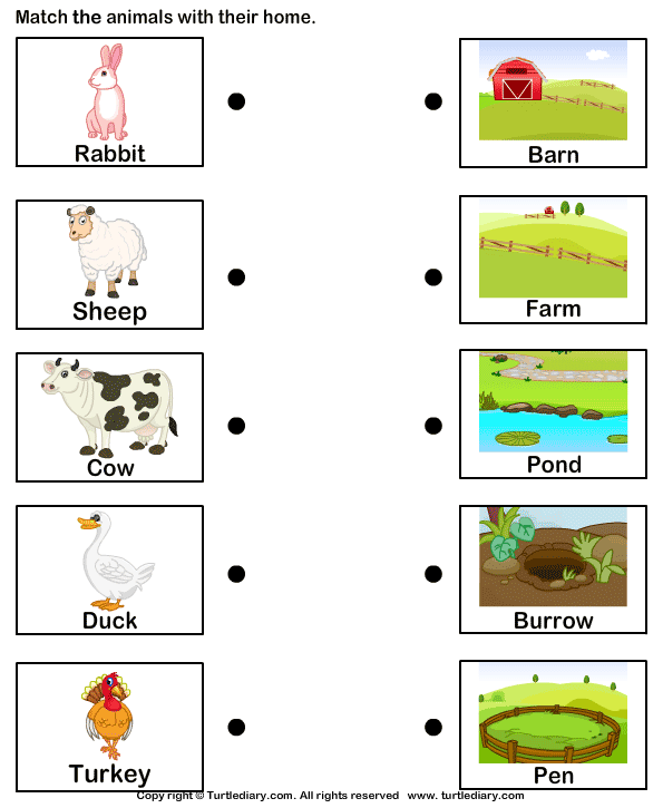 Homes of Farm Animals | Turtle Diary Worksheet