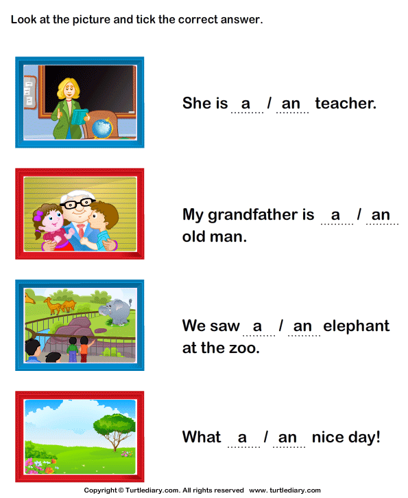 complete-the-sentence-with-a-or-an-turtle-diary-worksheet