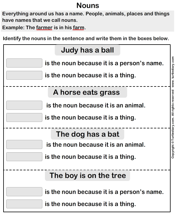 Find The Noun In Each Sentence