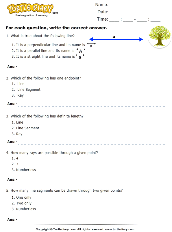Identify Point Line Ray And Line Segment Turtle Diary Worksheet
