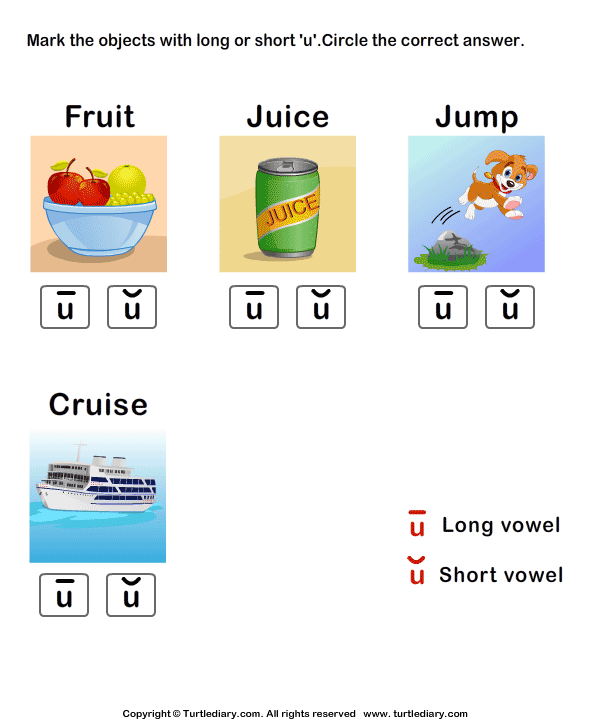 Identify the Long or Short Vowel in Words