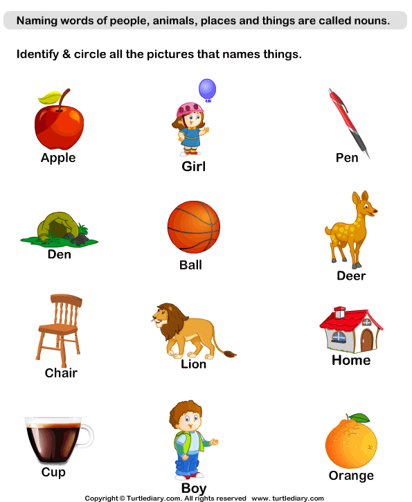 Naming Thing Nouns Turtle Diary Worksheet