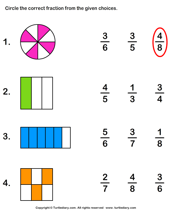 what-fraction-of-shape-is-colored-turtle-diary-worksheet