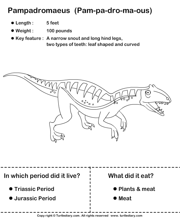 Interesting Dinosaur Facts | Turtle Diary Worksheet