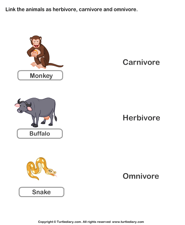 List of Carnivores Herbivores and Omnivores | Turtle Diary Worksheet