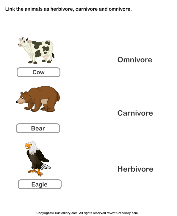 List of Herbivores Carnivores and Omnivores Animals | Turtle Diary Worksheet