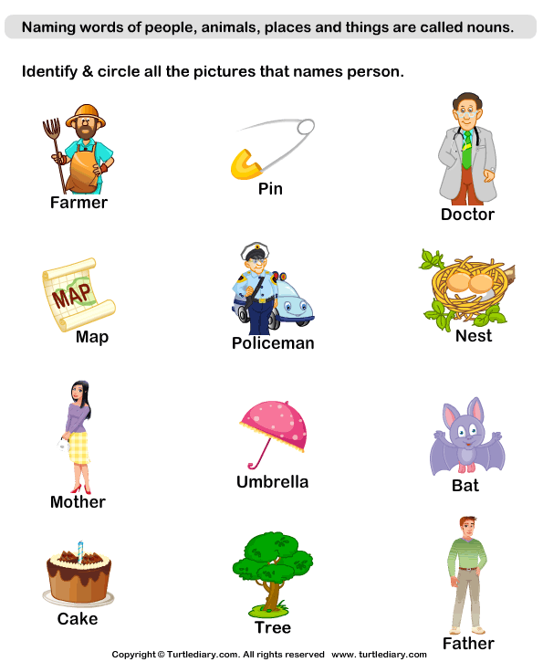 identify-person-nouns-turtle-diary-worksheet