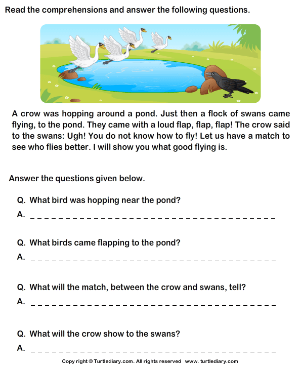 reading-comprehension-crow-turtle-diary-worksheet