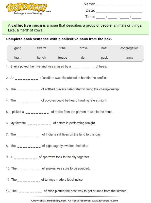 Collective Nouns Turtle Diary Worksheet