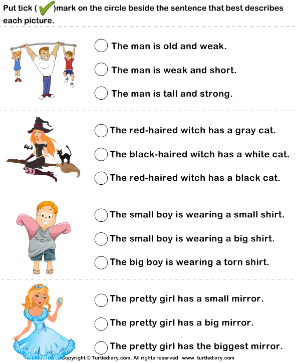 Sentence Describing Pictures | Turtle Diary Worksheet