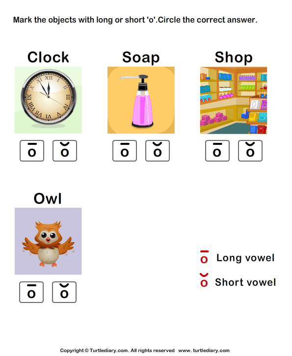 Identify the Long or Short Vowel in Words