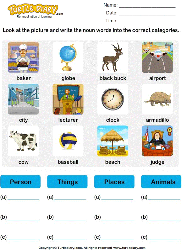 Sort Nouns as Person Place Animal or Thing | Turtle Diary Worksheet