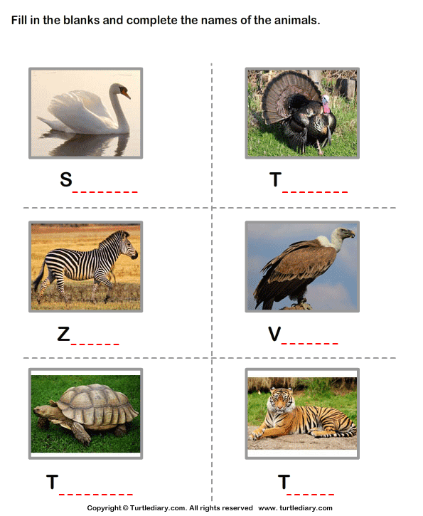 The Names of Animals | Turtle Diary Worksheet