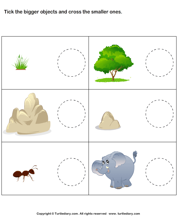 Identifying Small and Big objects worksheet