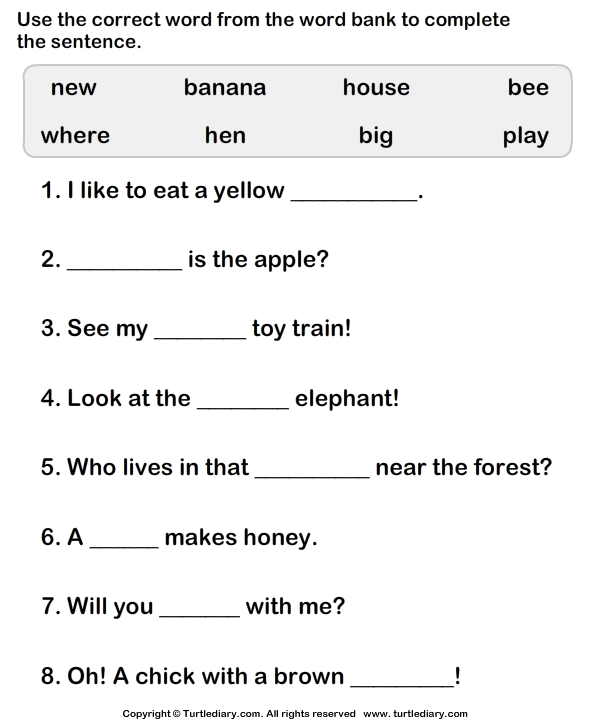 Fill In The Missing Words To Complete The Sentence Turtle Diary Worksheet