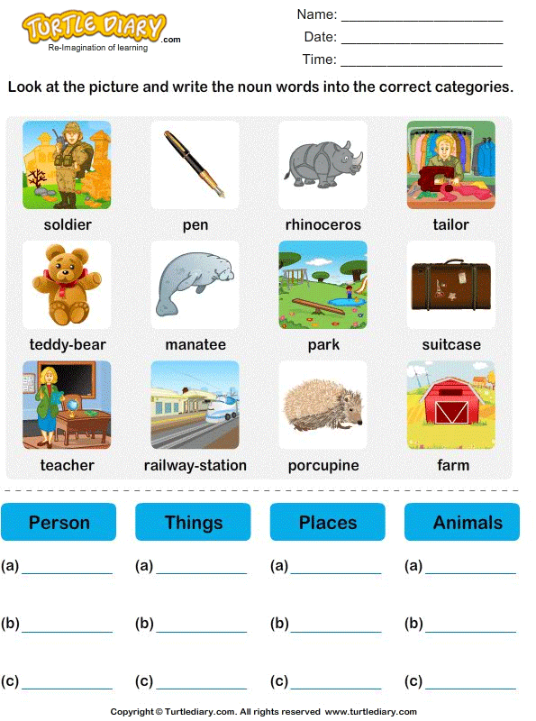 Write Nouns into the Correct Categories | Turtle Diary Worksheet