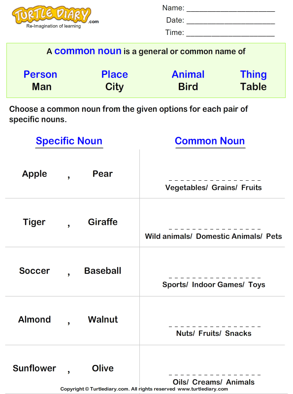 Write a Common Noun for Proper Nouns