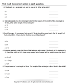 Area : Multiple Choice Questions - units-of-measurement - Third Grade