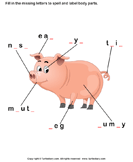 Body Parts of Pig