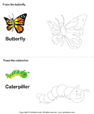 Trace the Stages of the Butterfly Life Cycle - animals - Kindergarten
