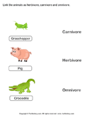 Identify Animals as Herbivore, Carnivore, or Omnivore - food-chain - First Grade