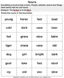 Choose the Correct Noun - noun - First Grade