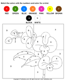 Color the Orchid by Numbers