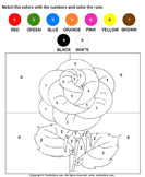 Color the Rose by Numbers