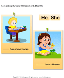 Using 'she' or 'he' - sentence - Kindergarten