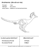 Dinosaurs - Determine the Period and Food Habits - animals - Second Grade
