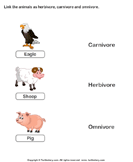 Examples of Herbivores Carnivores and Omnivores Animals