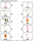 Match Farm Animals To Their Babies Worksheets | Turtle Diary